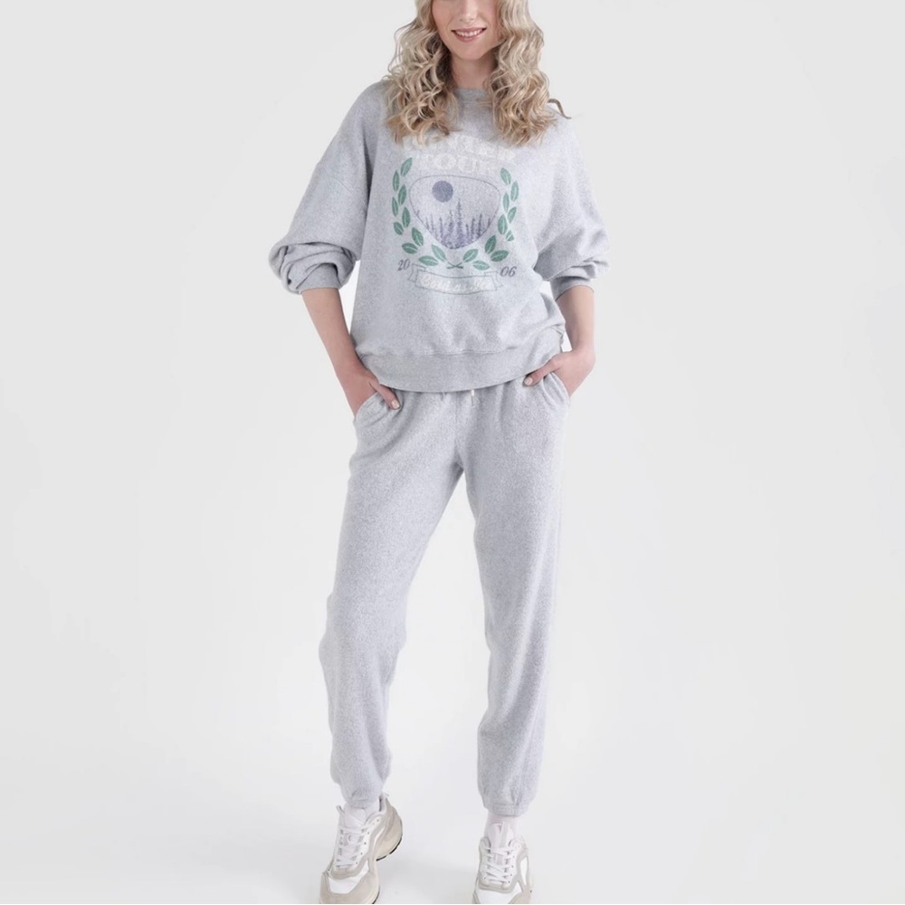 NWT Aerie The Chill Cozy Crew Sweatshirt Grey Sz Small